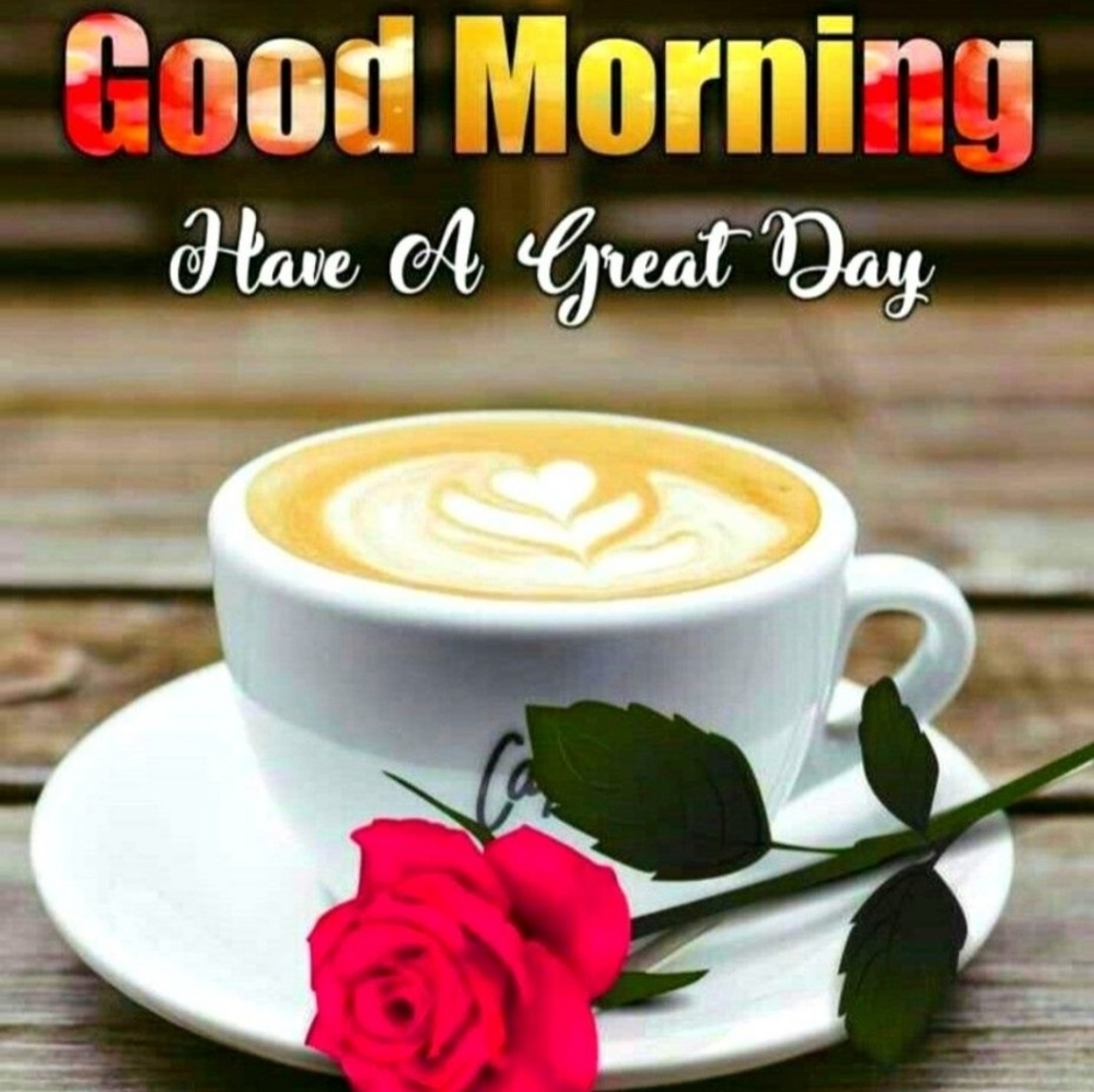 GOOD MORNING ALL